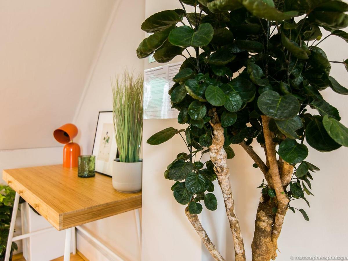 Exquisite 3Bdr Botanical Oasis In Central 브라이턴 외부 사진